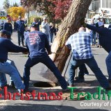 Lemoore firemen muscle their 69-foot Christmas tree into its manhole at the D Street and Fox Street intersection Sunday afteroon as the Lemoore holiday season officially begins.